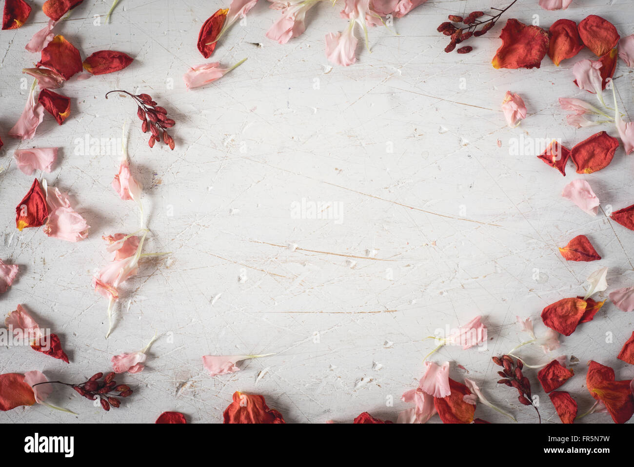Frame from dried flower petals horizontal Stock Photo