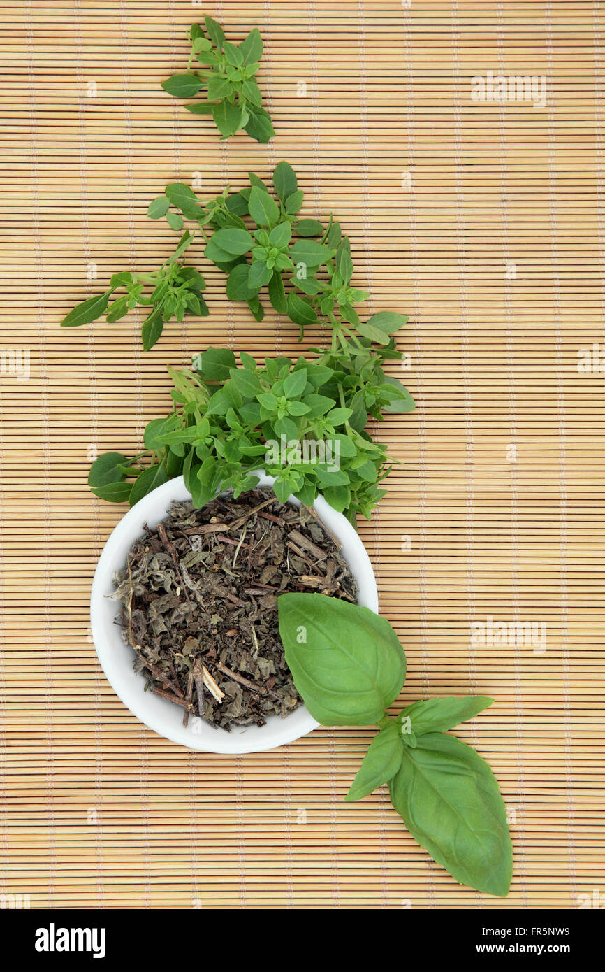 Fresh basil herb varieties with dried tulsi basil herbal medicine in a