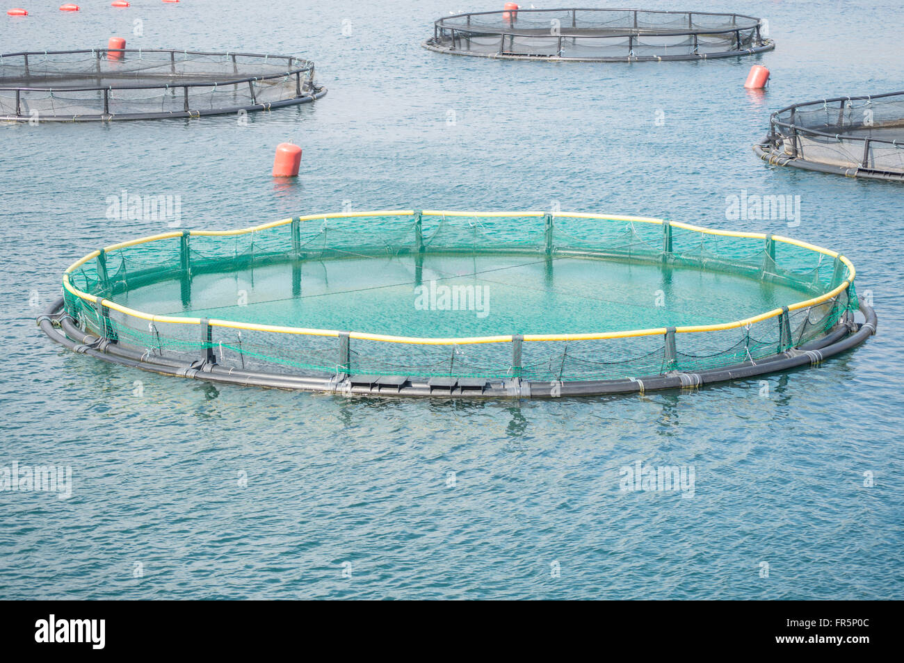 Cages for fish farming Stock Photo - Alamy