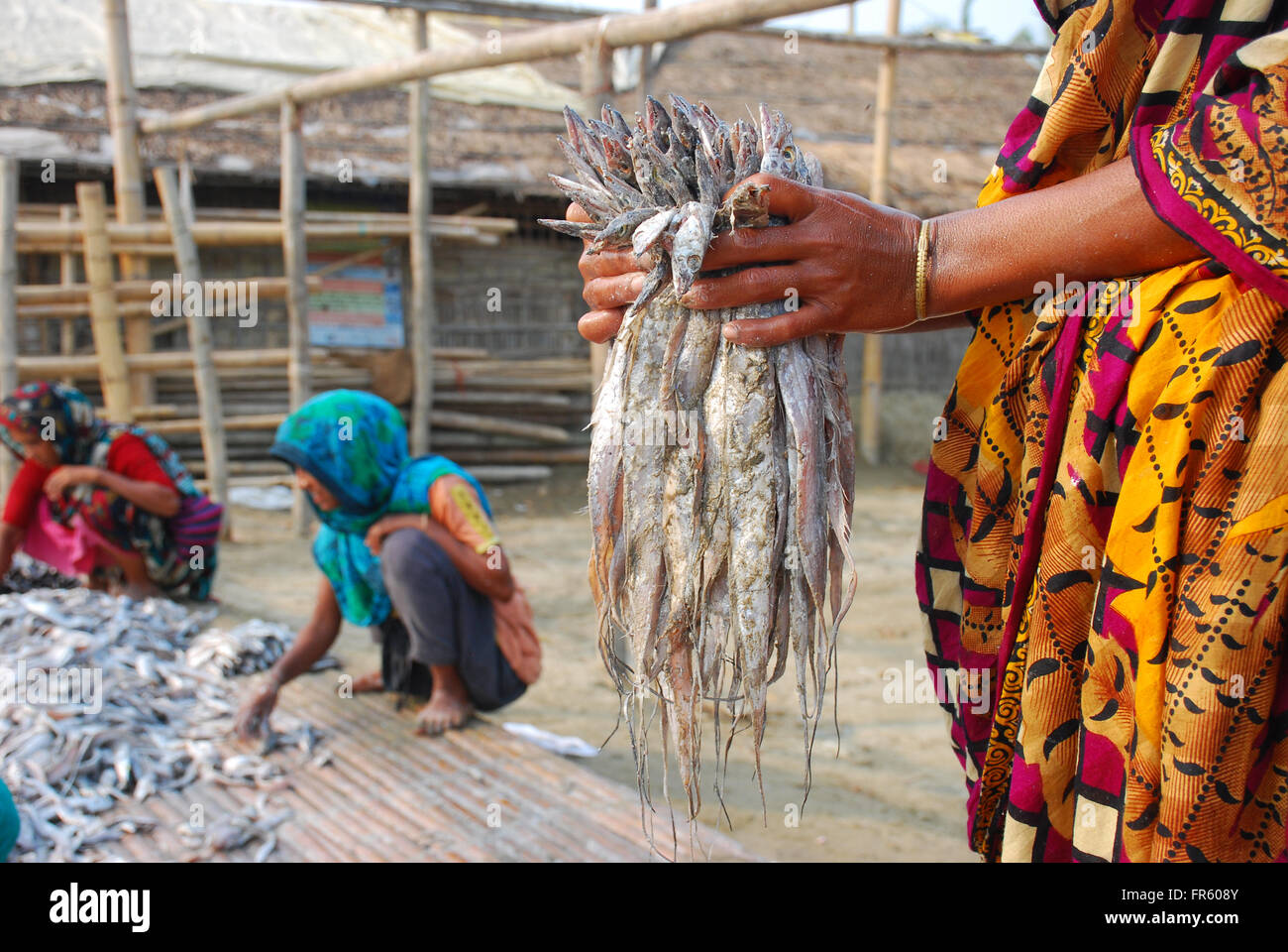 Cox's Bazar, Bangladesh. 19th Mar, 2016. Driedfish production has got