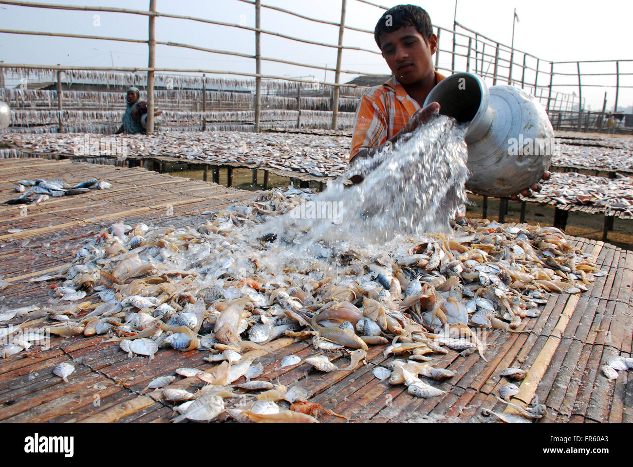 Cox's Bazar, Bangladesh. 19th Mar, 2016. Driedfish production has got
