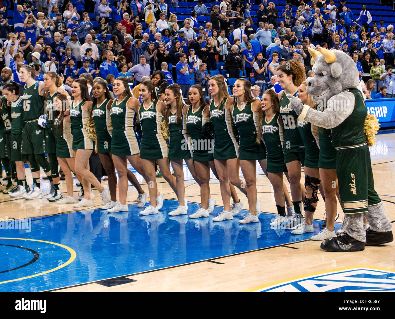 Usf cheerleaders hi-res stock photography and images - Alamy