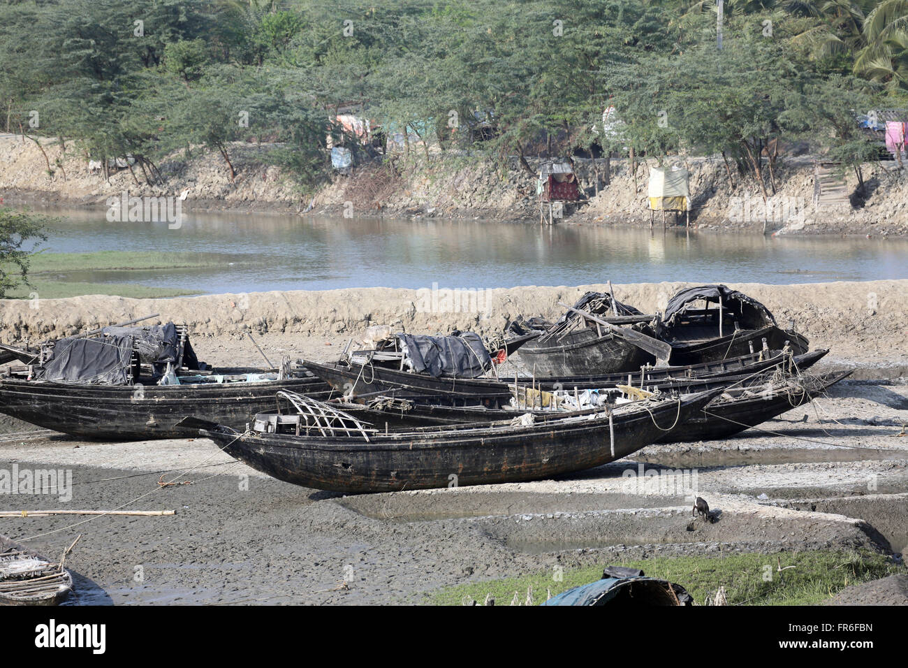 Boats of fishermen stranded in the mud at low tide on the river Matla near Canning Town, India Stock Photo