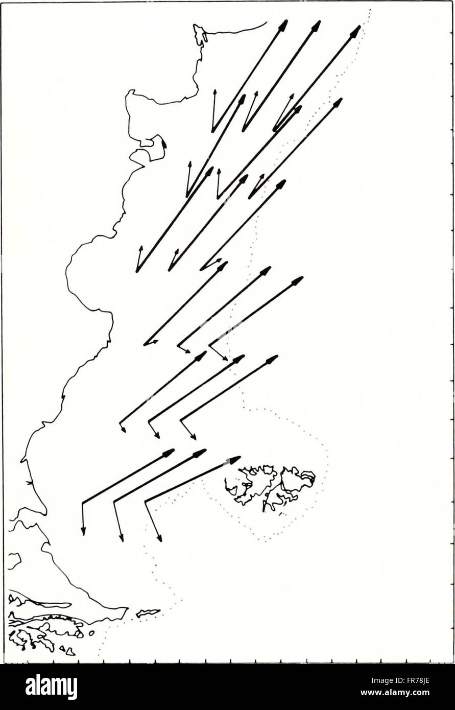 A 1990 publication of the American Malacological Bulletin, a journal ...