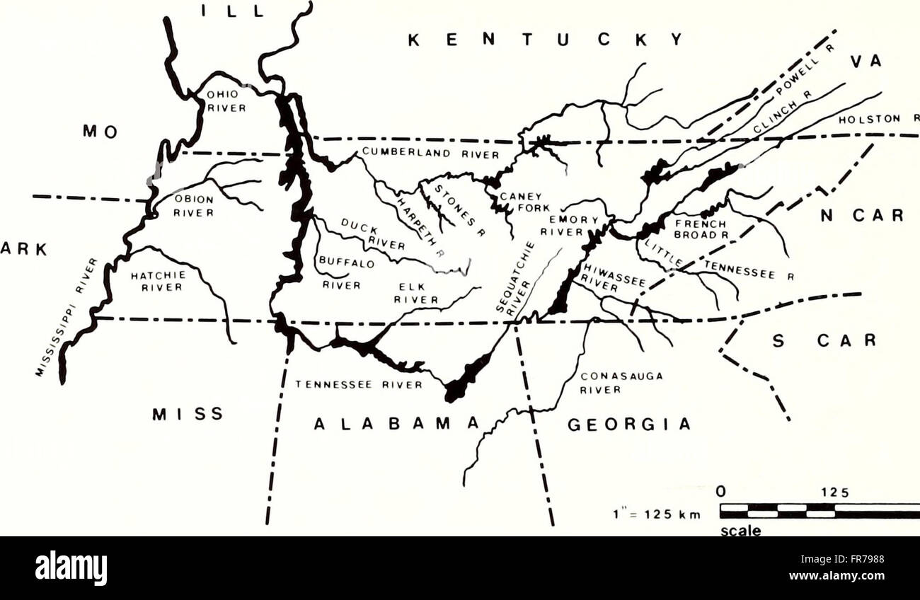 The American Malacological Bulletin (1988) publishes studies in ...