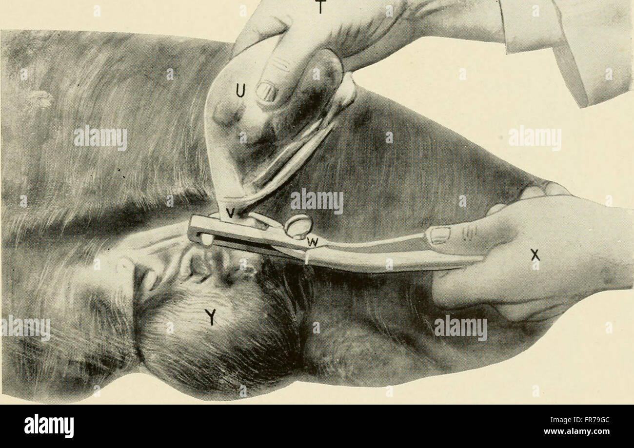 'Animal Castration' (1914) is a practical guide for veterinary students ...
