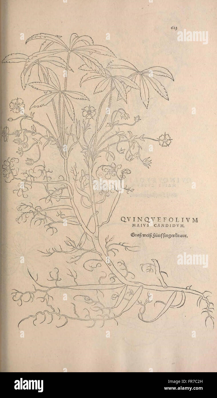 This botanical work focuses on the history and classification of plants ...