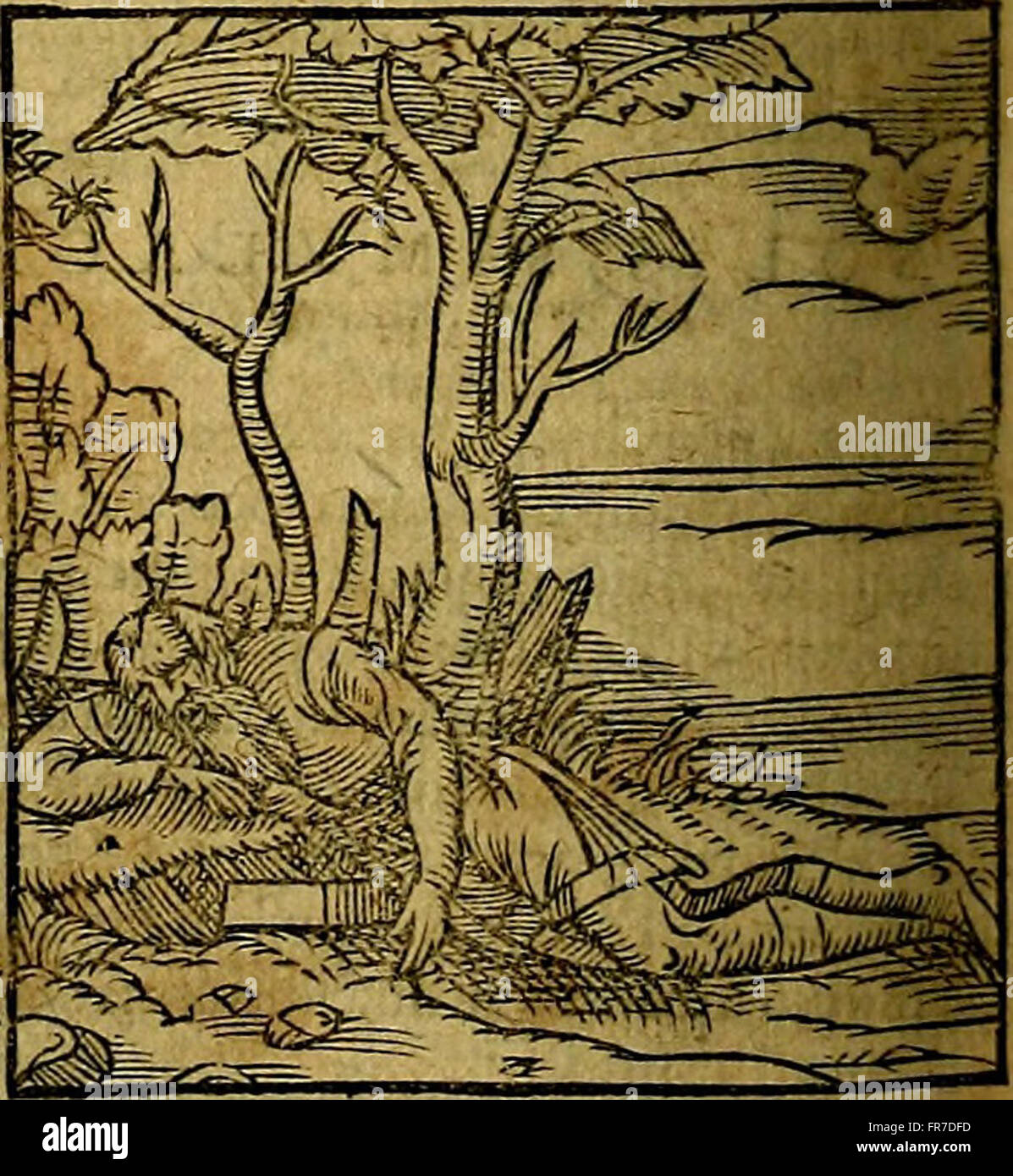 This 1556 work by Ioannis Pierii Valeriani Bellvnesis explores Egyptian ...