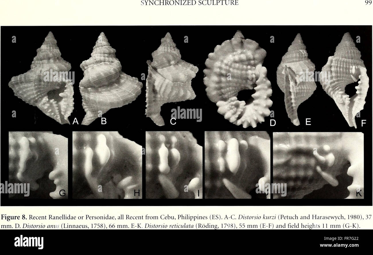 The American Malacological Bulletin (2001) publishes research on ...