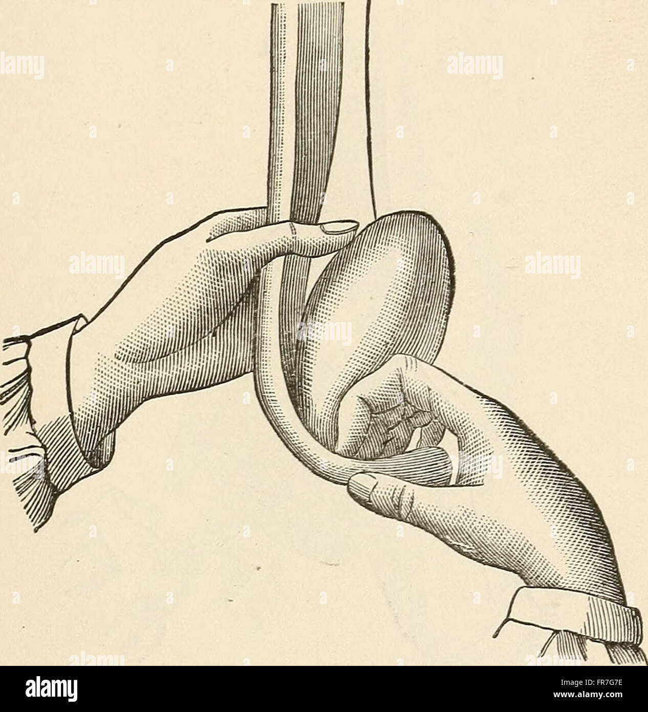 Animal Castration (1902) is a veterinary text focused on the surgical ...