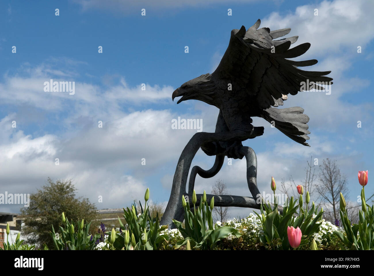 Jones Carter Gallery Lake City South Carolina USA Stock Photo Alamy