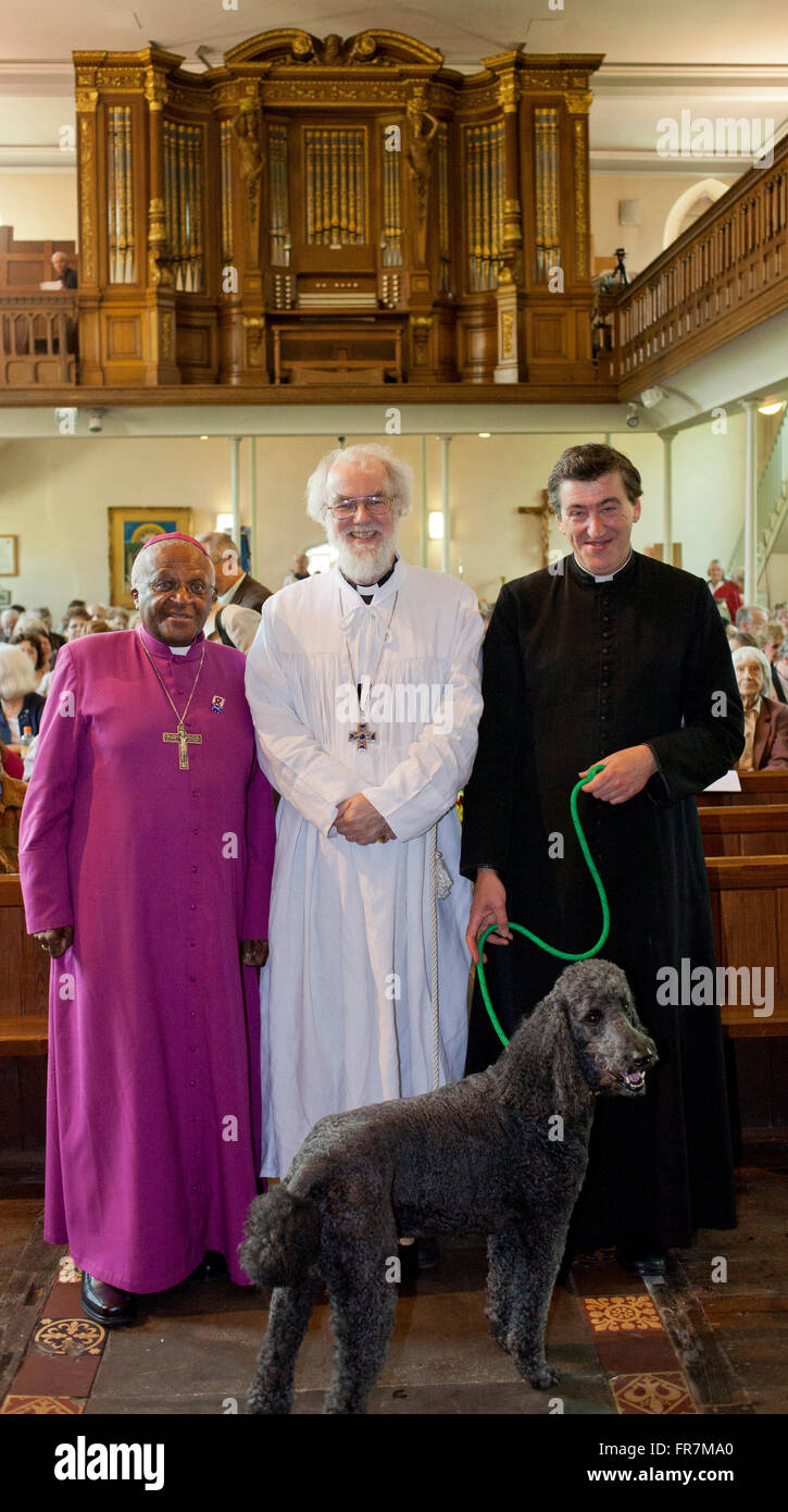 Archbishop Tutu,  Archbishop of Canterbury  Dr Rowan Williams, St Mary's Church, Hay-on-Wye, Fr Richard Williams, black dog Stock Photo