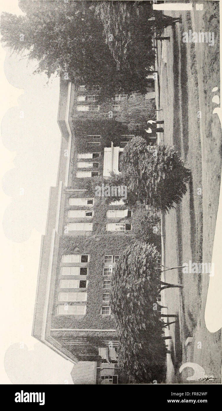 The State Normal School Bulletin (1916-1919) includes academic ...