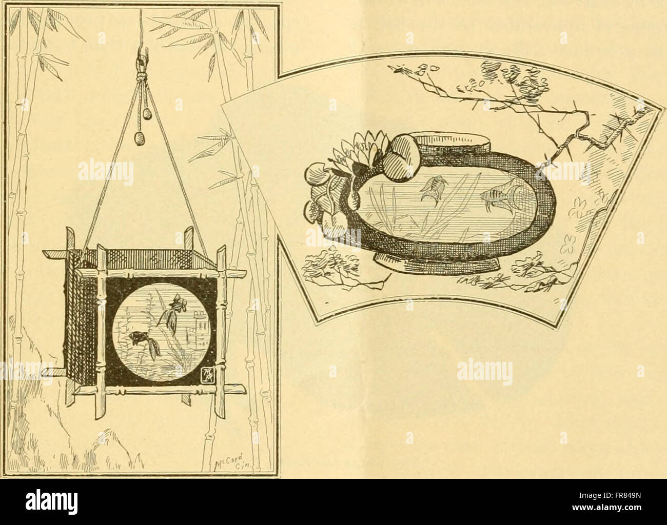 The 1895 Book The Aquarium Provides Guidance On Setting Up And Maintaining Aquariums With The 1895 Book The Aquarium Provides Guidance On Setting Up And Maintaining Aquariums With
