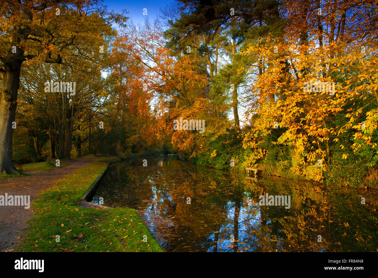Autumn on the Basingstoke Canal near Fleet Hampshire. England UK Stock Photo