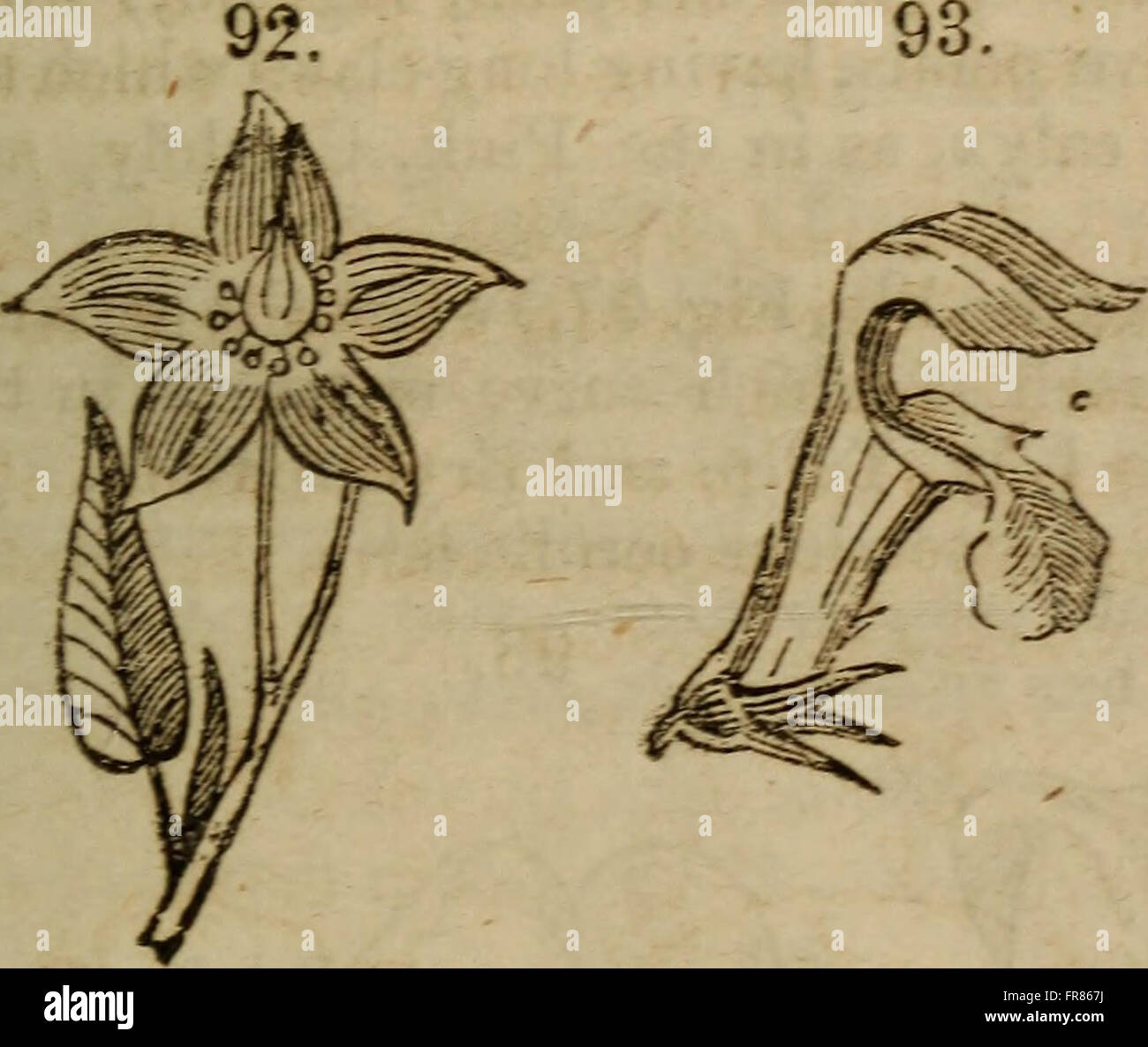 Botany class reference book hi-res stock photography and images - Alamy
