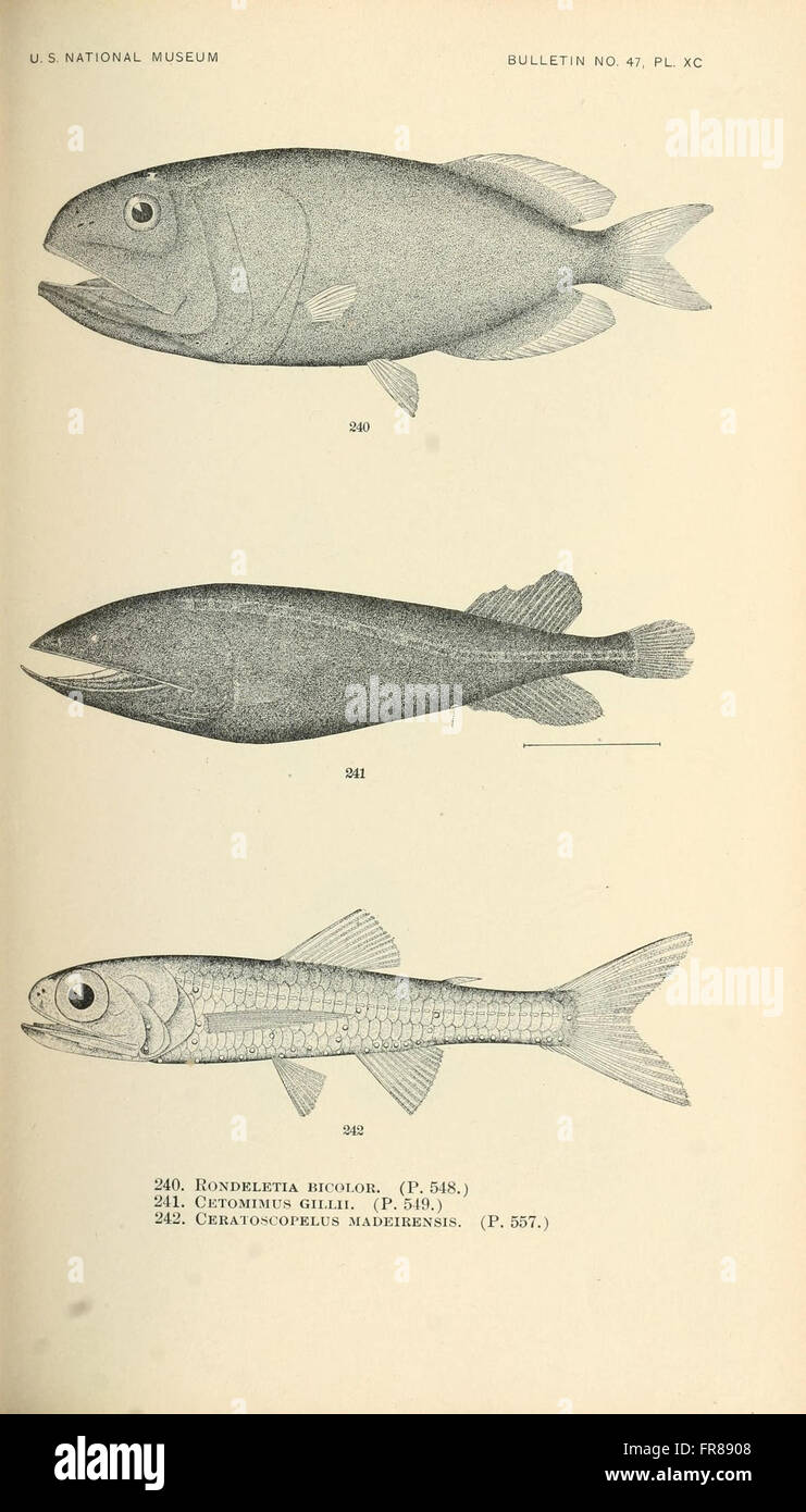 This plate from 'The Fishes of North and Middle America' depicts ...
