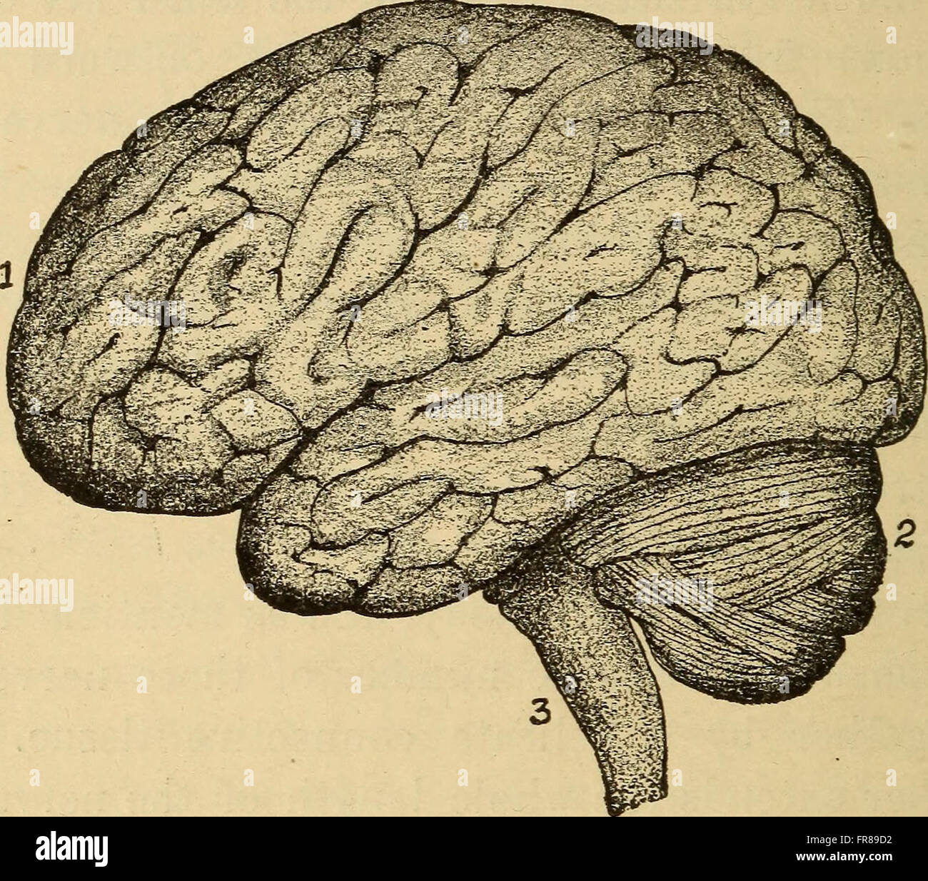A 1892 textbook covering the essentials of human health, including ...