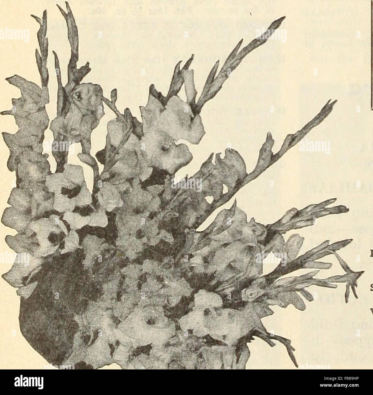 1961 catalog (1961 Stock Photo Alamy