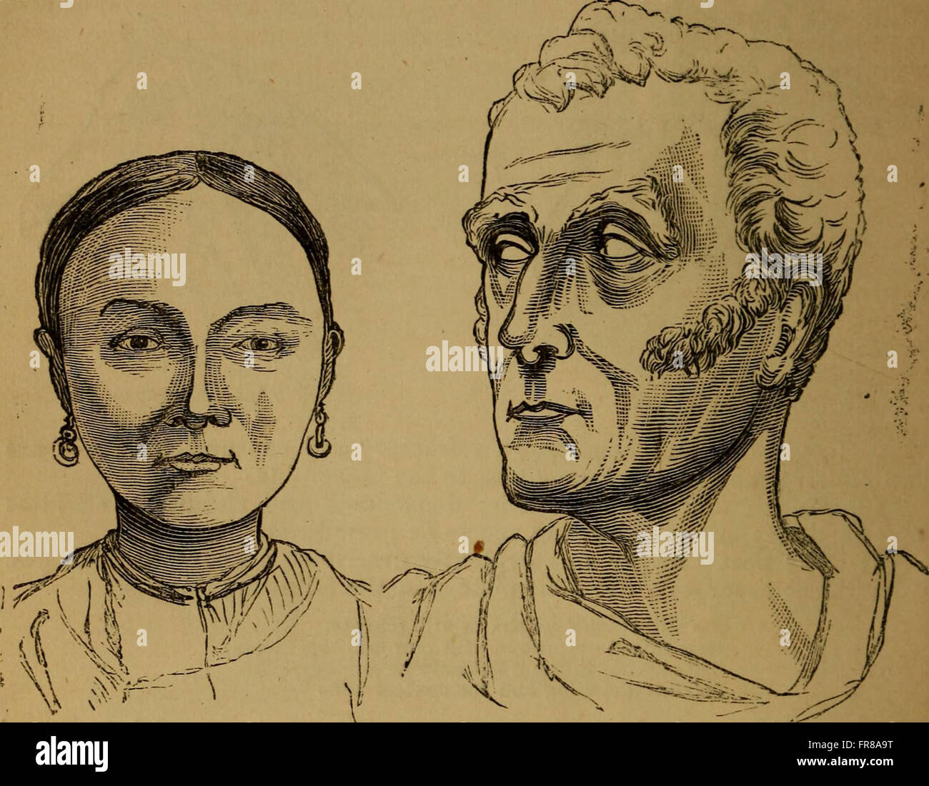 Physiological Chart An original and illustrated physiological and physiognomical chart ...