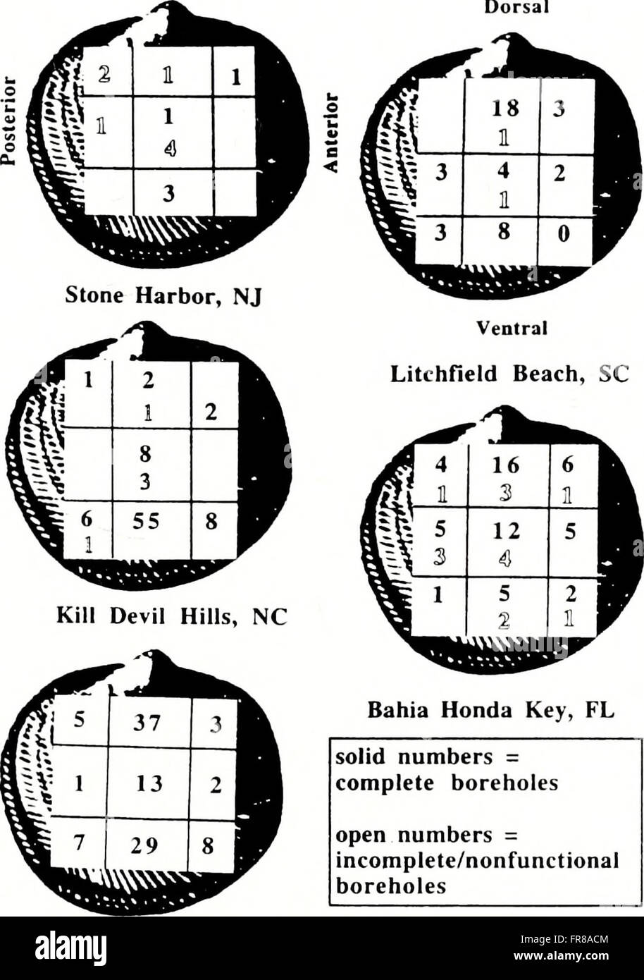 The American Malacological Bulletin (2001) focuses on research in ...