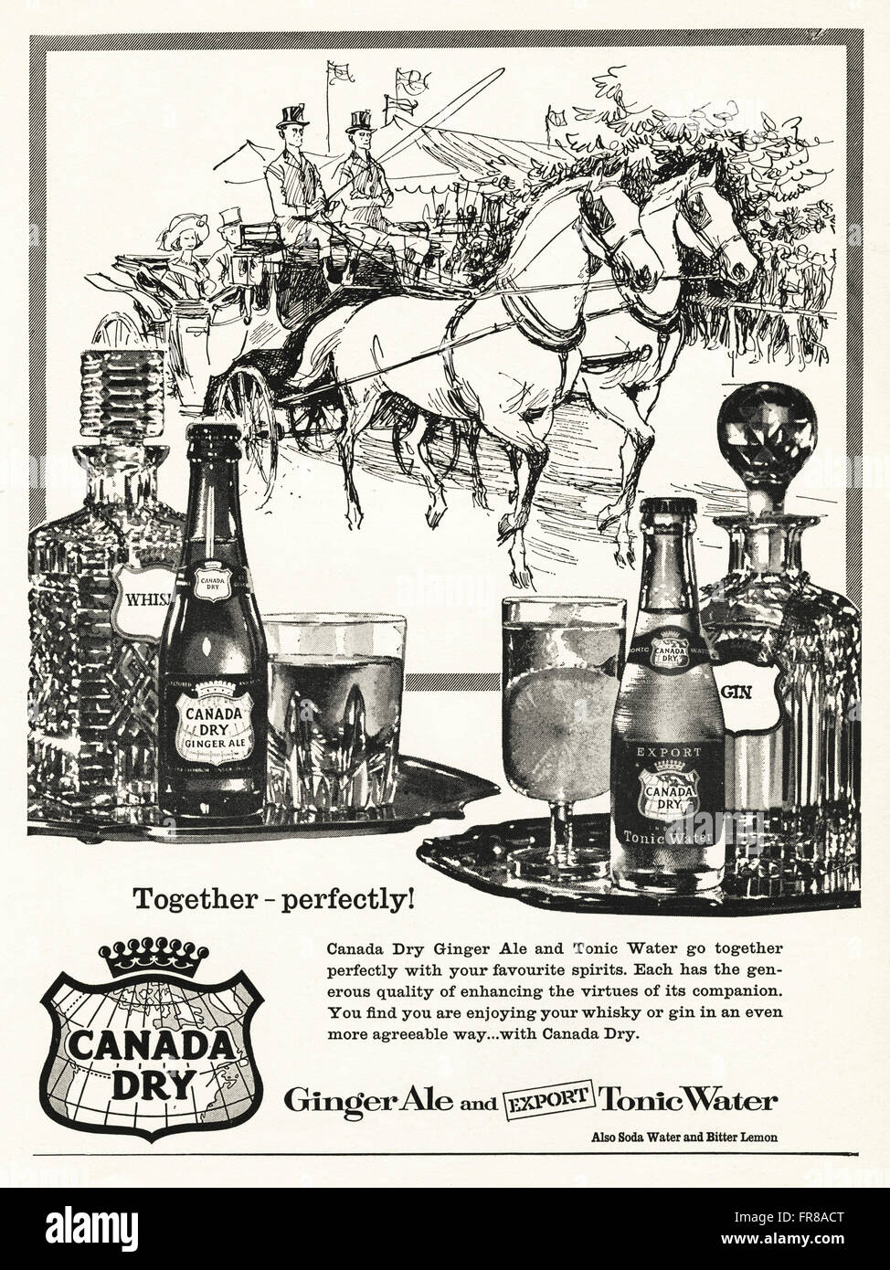 Original vintage advert from 1950s. Advertisement dated 1959 advertising CANADA DRY ginger ale and tonic water. Stock Photo