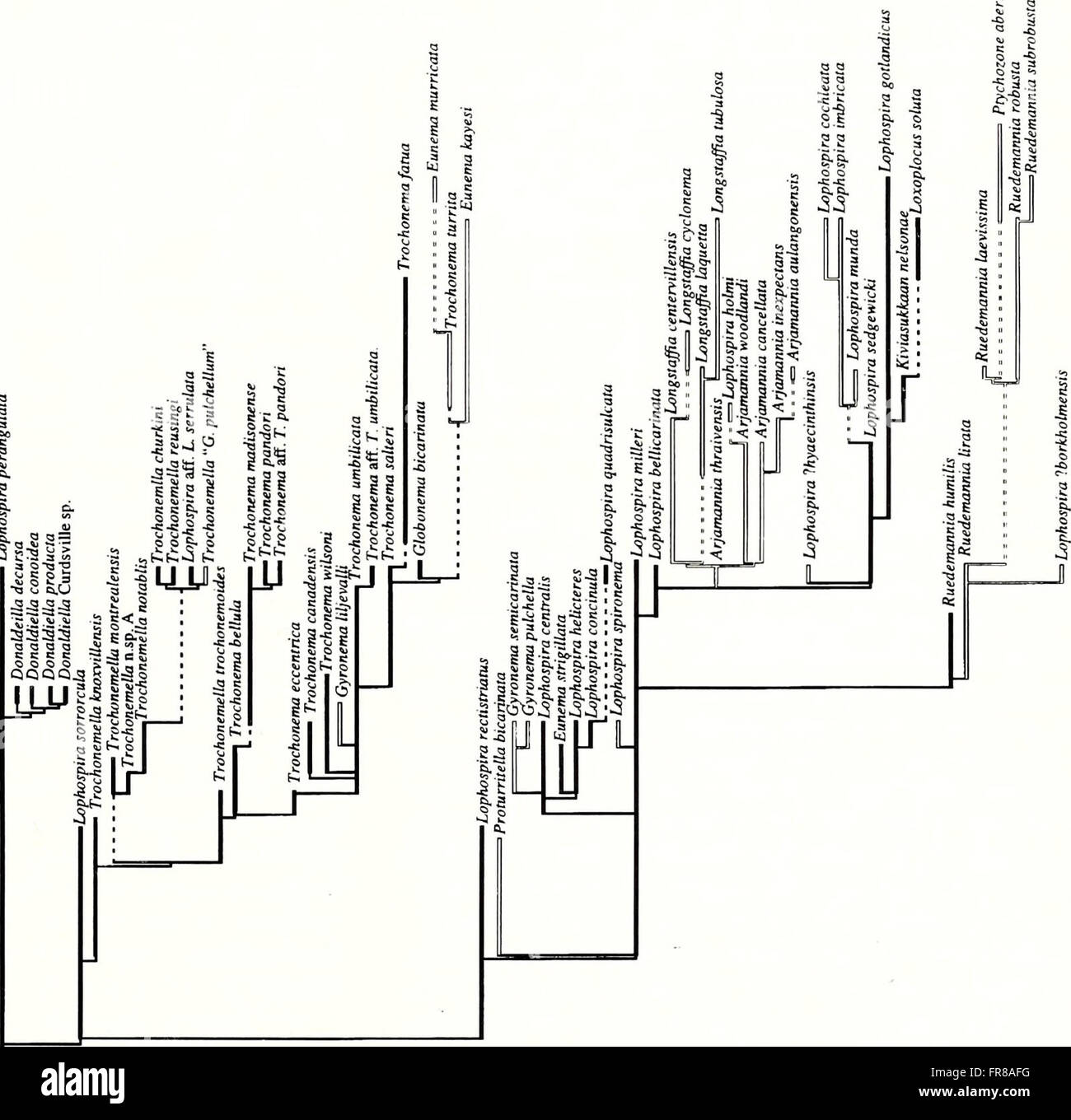 The 1997 American Malacological Bulletin focuses on the study of ...