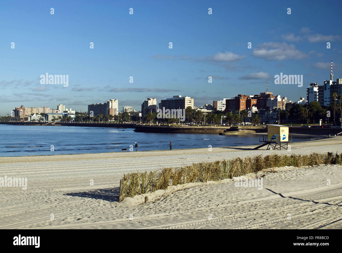 Neighborhood and Pocitos beach on the shore of the River Plate in Montevideo Stock Photo