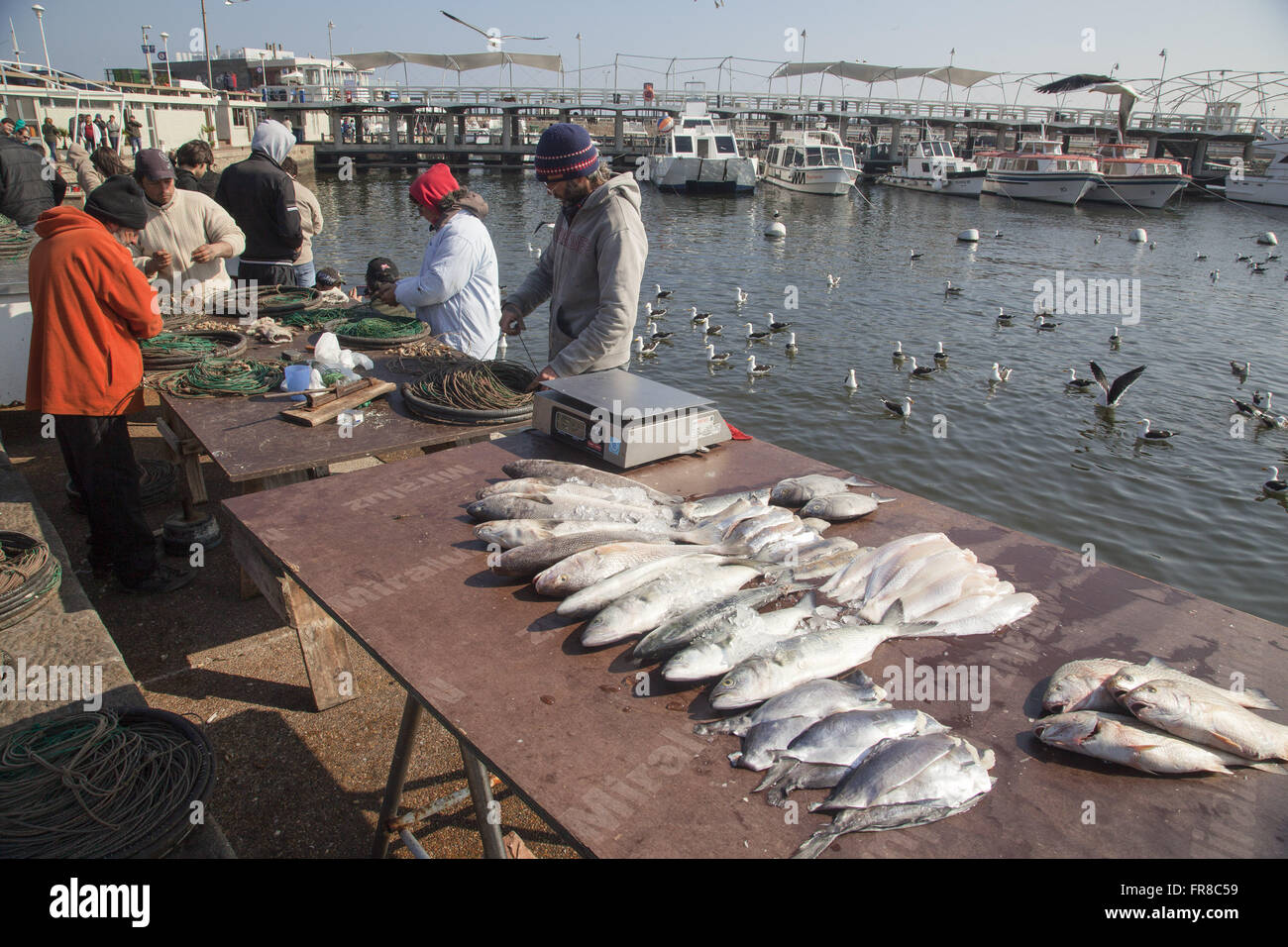 Sale of fish in Port Nuestra Senora de la Candelaria Stock Photo