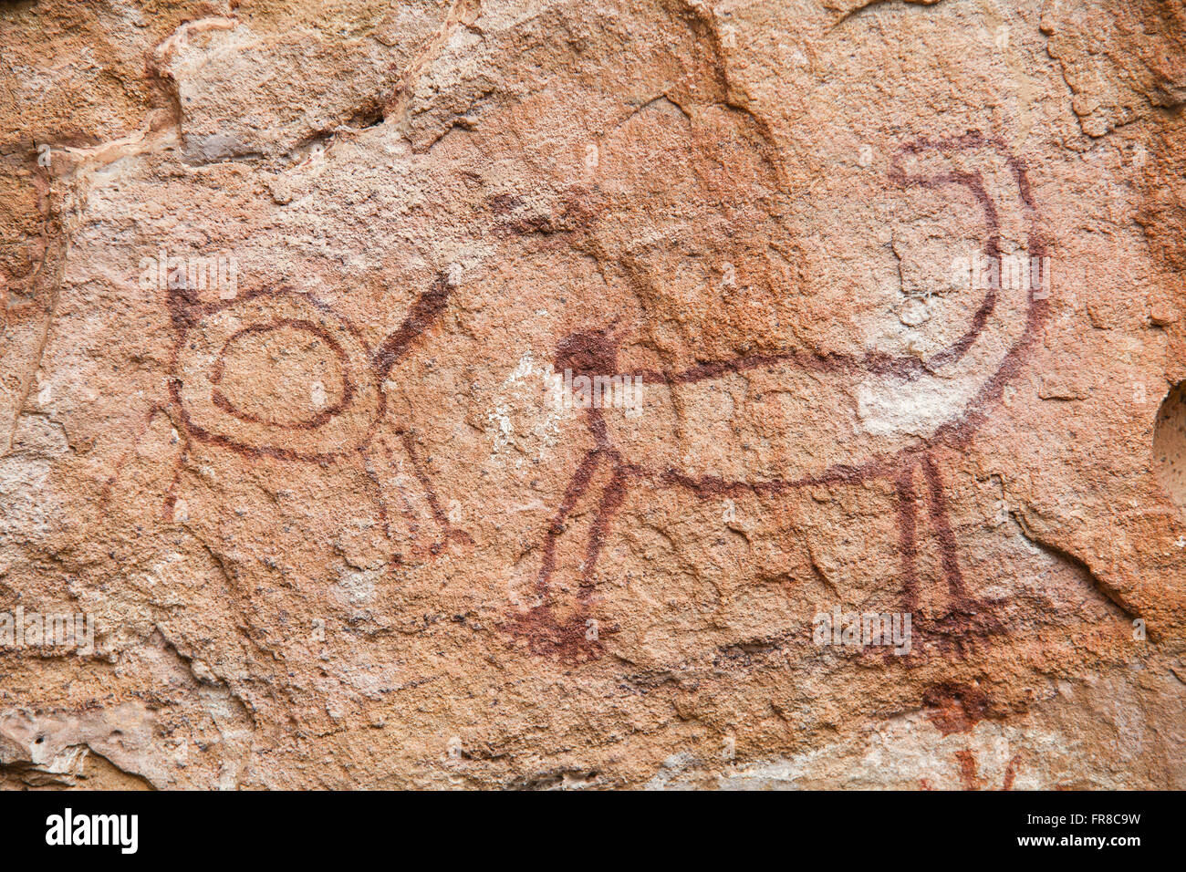 Detail of cave paintings at Toca do Boqueirao Holed Stone Stock Photo