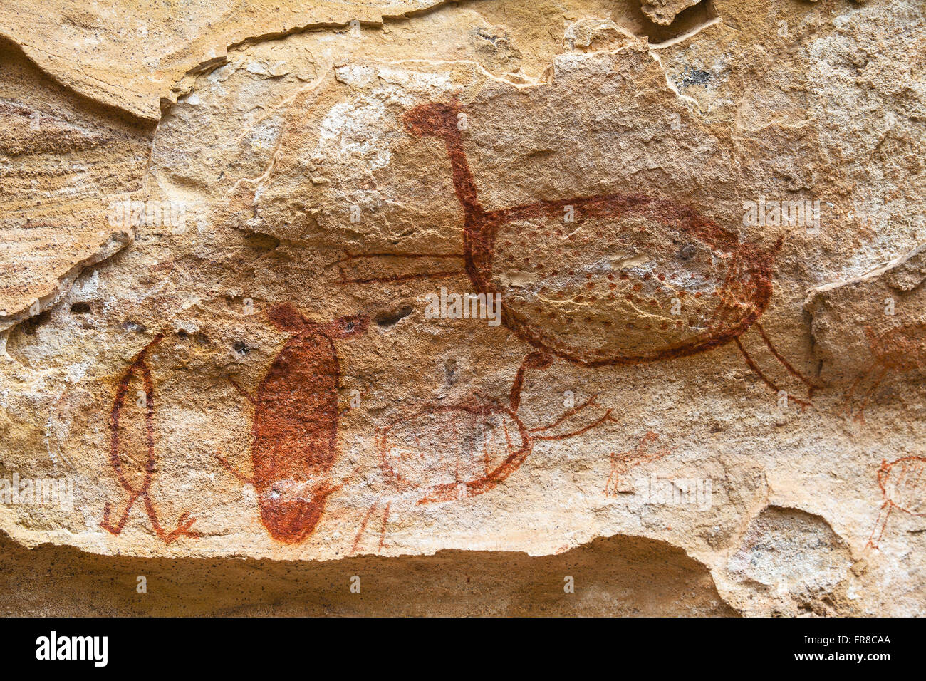 Detail of cave paintings at Toca do Boqueirao Holed Stone Stock Photo