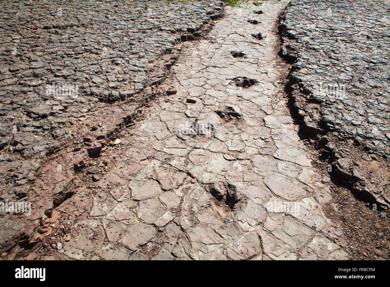 Dinosaur footprints in the Valley of the Dinosaurs Stock Photo Alamy