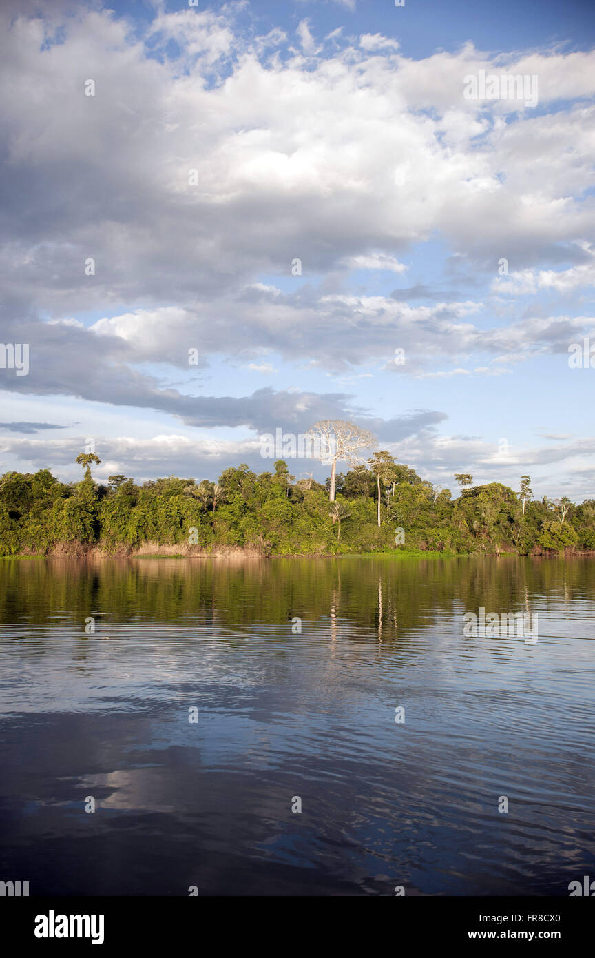 Bank of the Juruena River in the Juruena National Park Stock Photo Alamy