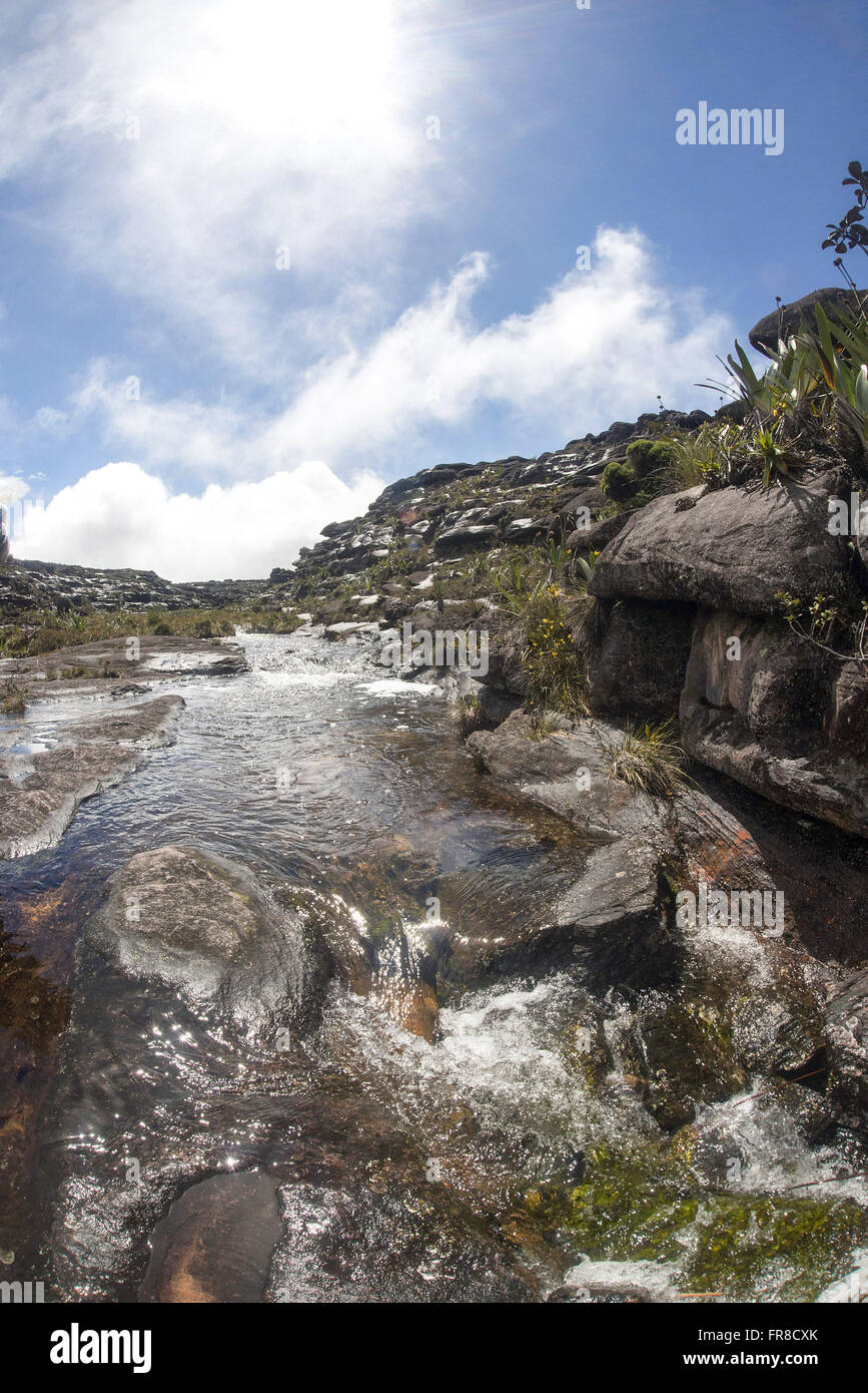 Stream of crystal clear water on the plateau of Mount Roraima Stock Photo