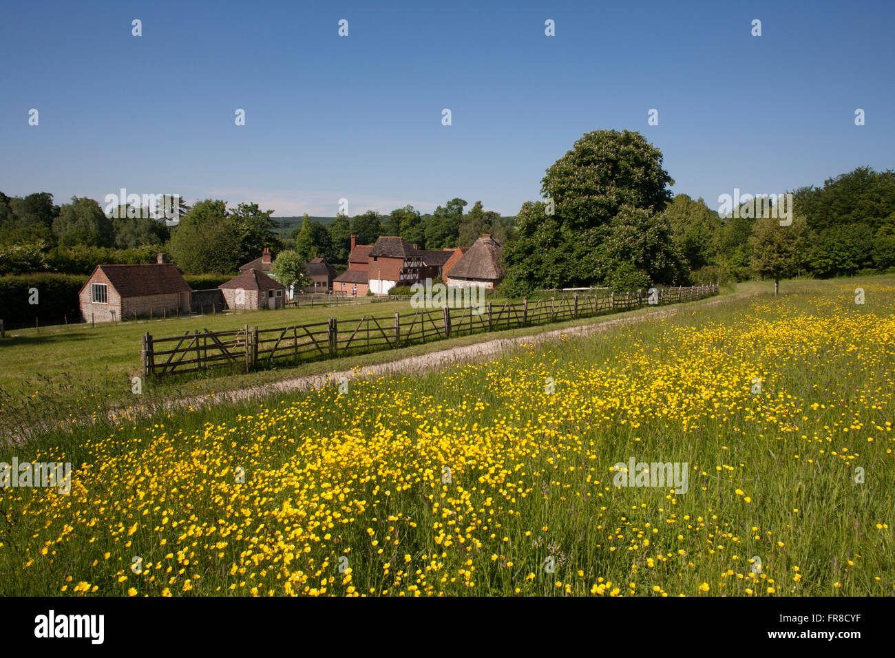 Weald & Downland Open Air Museum.Singleton,West Sussex , England Stock