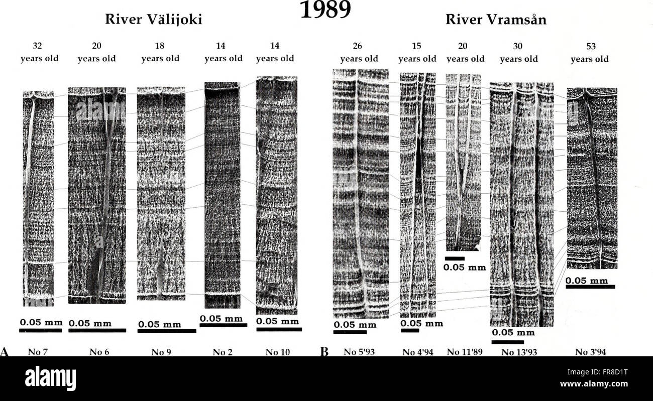 The 2001 edition of the American Malacological Bulletin provides ...