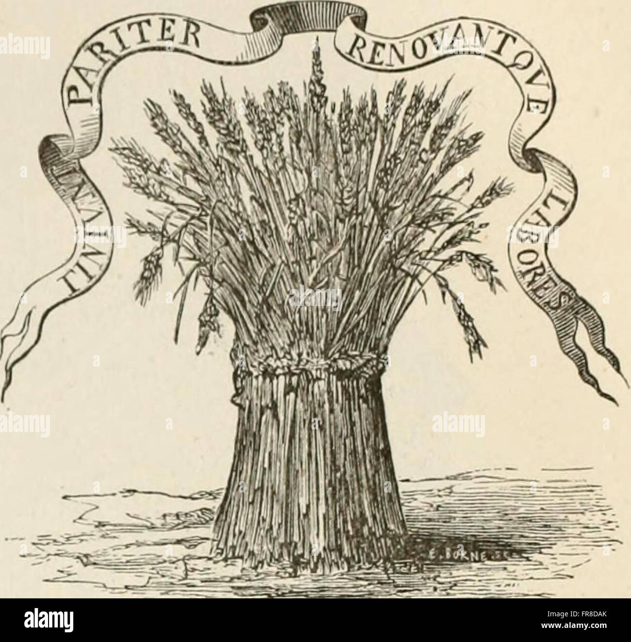 An illustrated dictionary of words used in art and archaeology