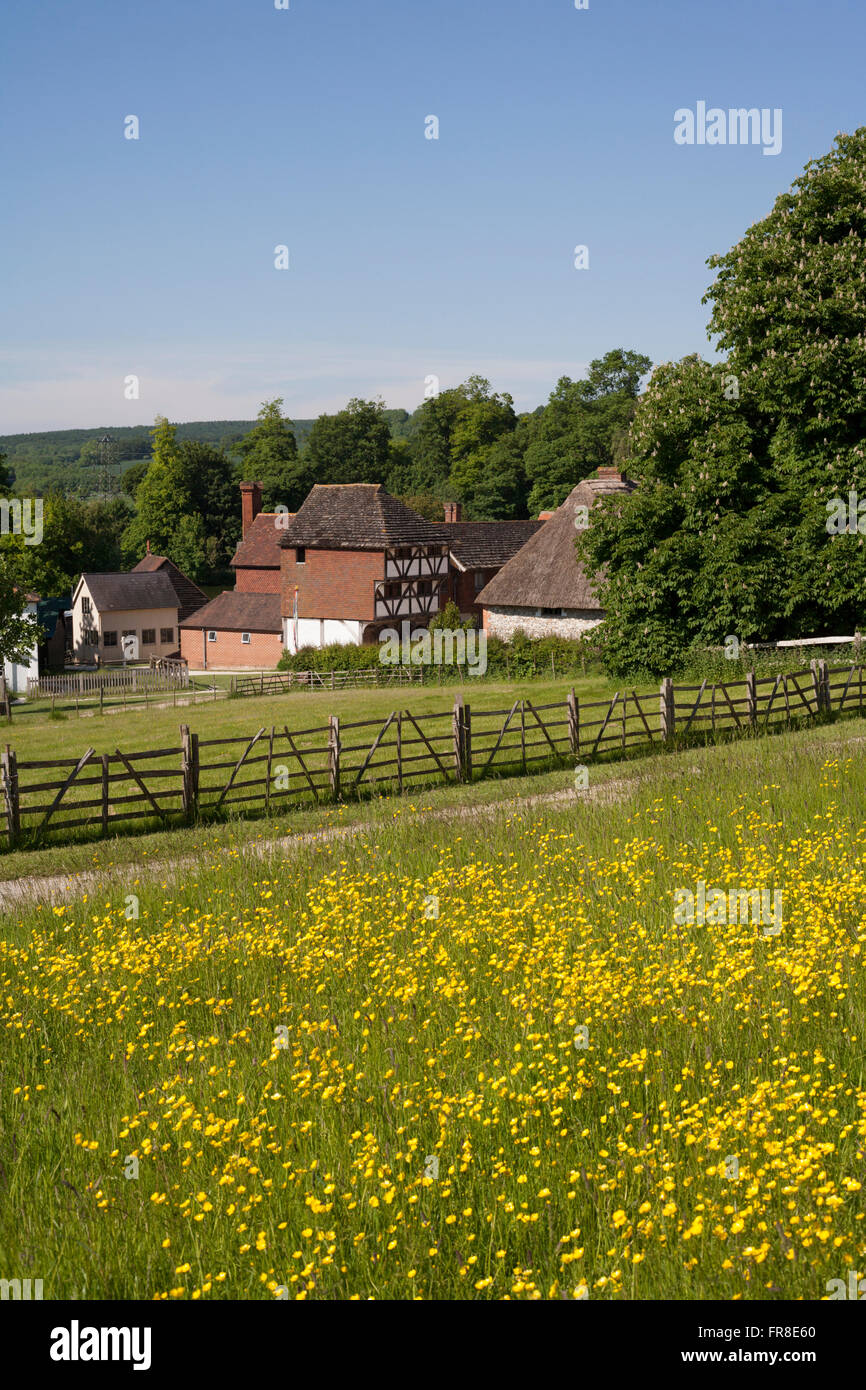 Weald & Downland Open Air Museum.Singleton,West Sussex , England. Stock Photo