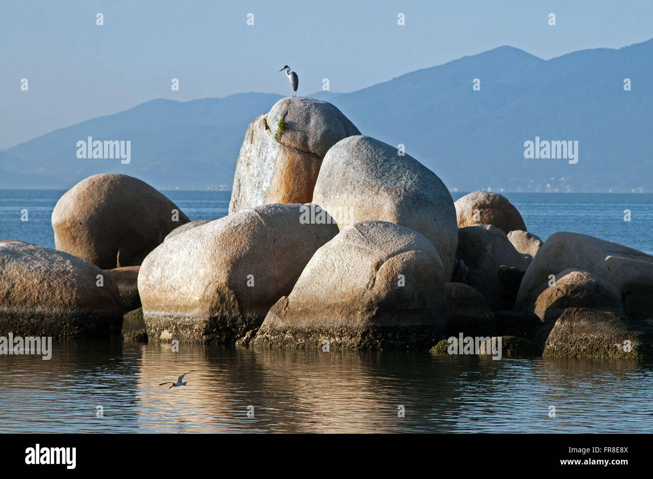 Small round rocks hi-res stock photography and images - Alamy