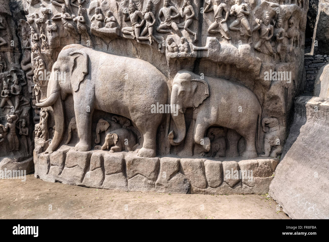 Descent of the Ganges, Mahabalipuram, Tamil Nadu, India, Asia Stock Photo