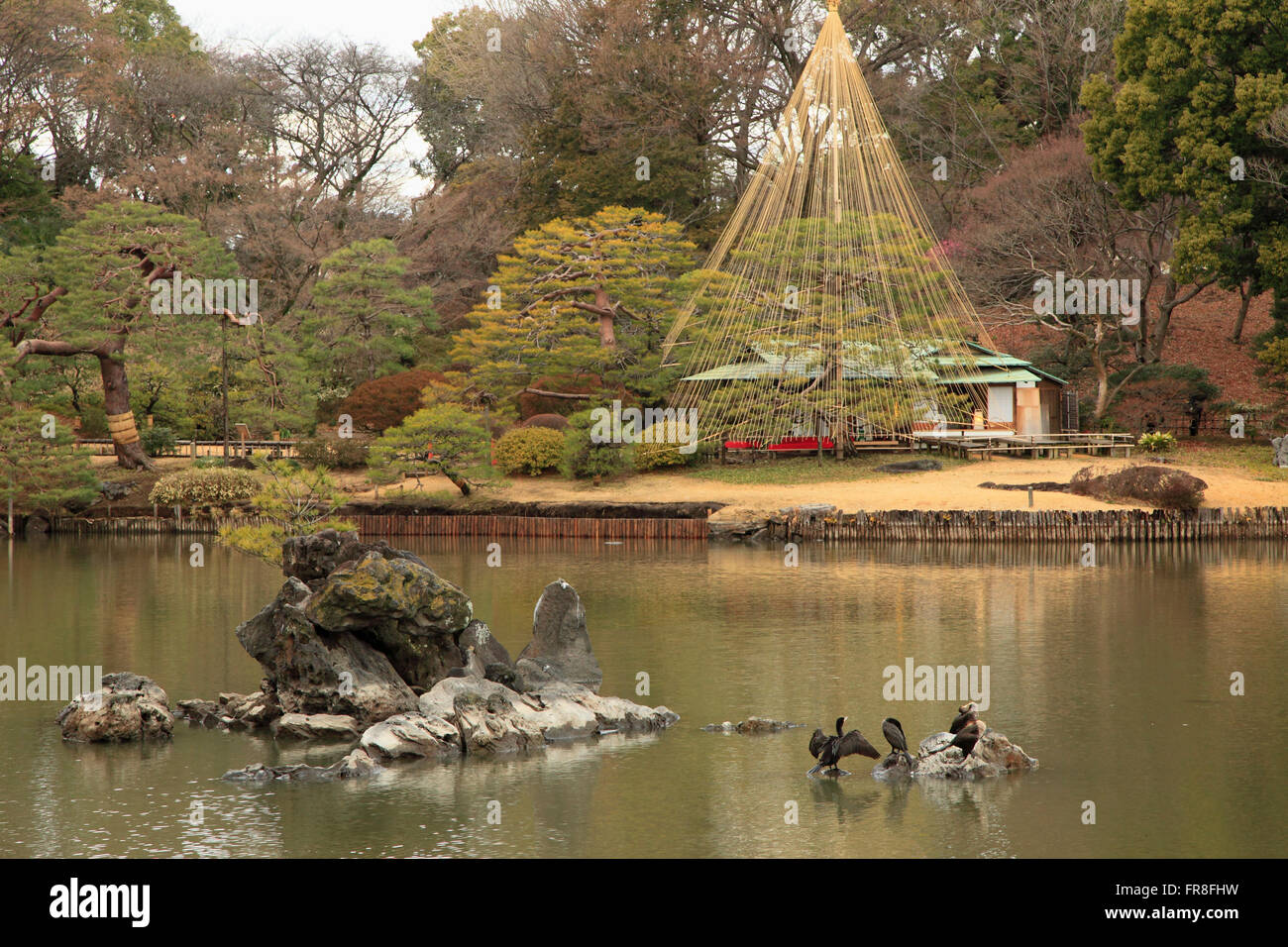 Japan, Tokyo, Rikugien Garden, Stock Photo