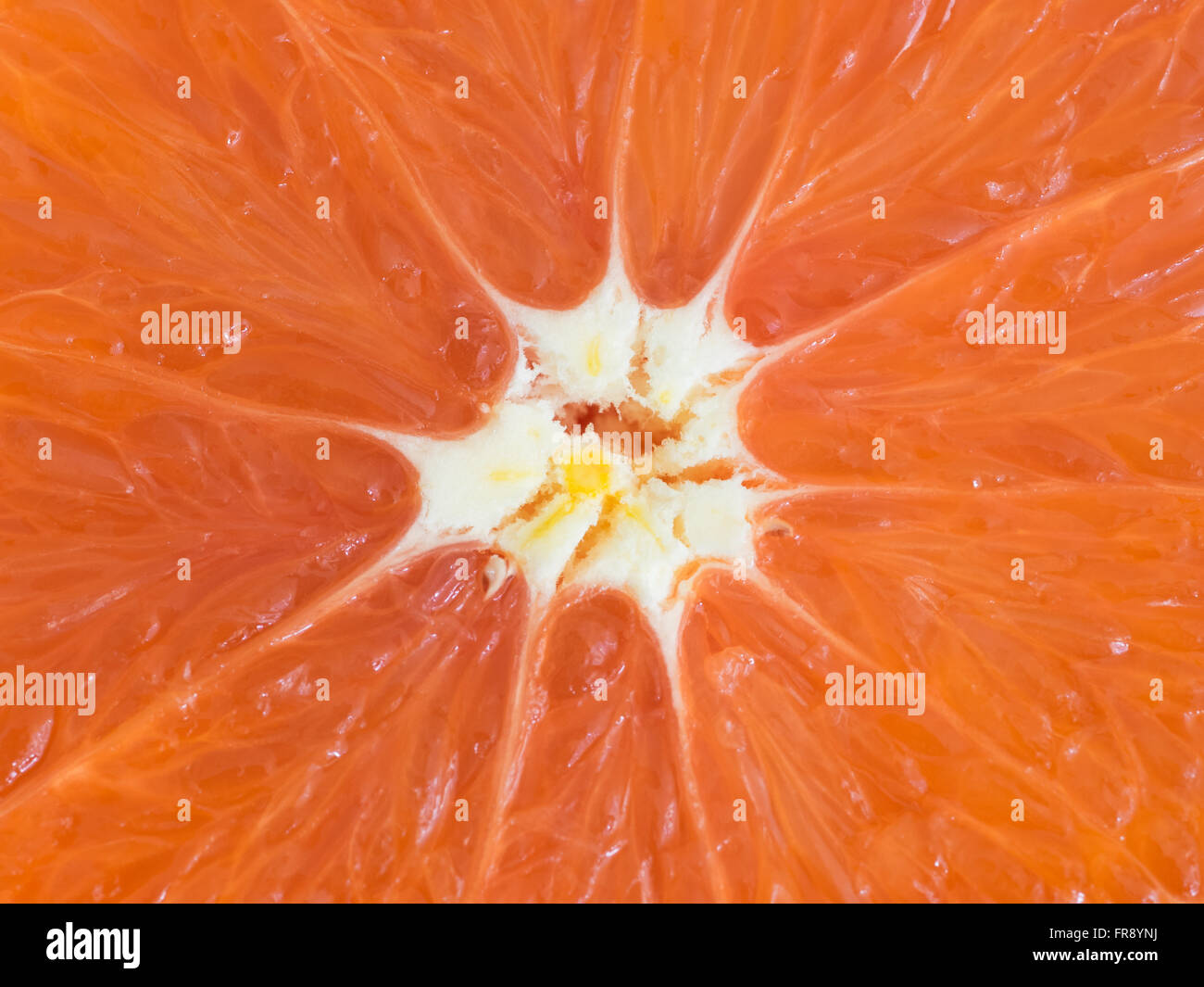 A Cara cara navel orange, also known as a redfleshed navel orange or