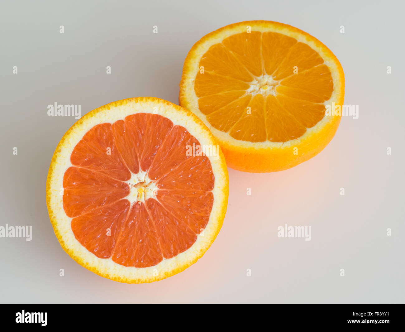 Are Oranges Cara Cara Oranges Safe For Dogs