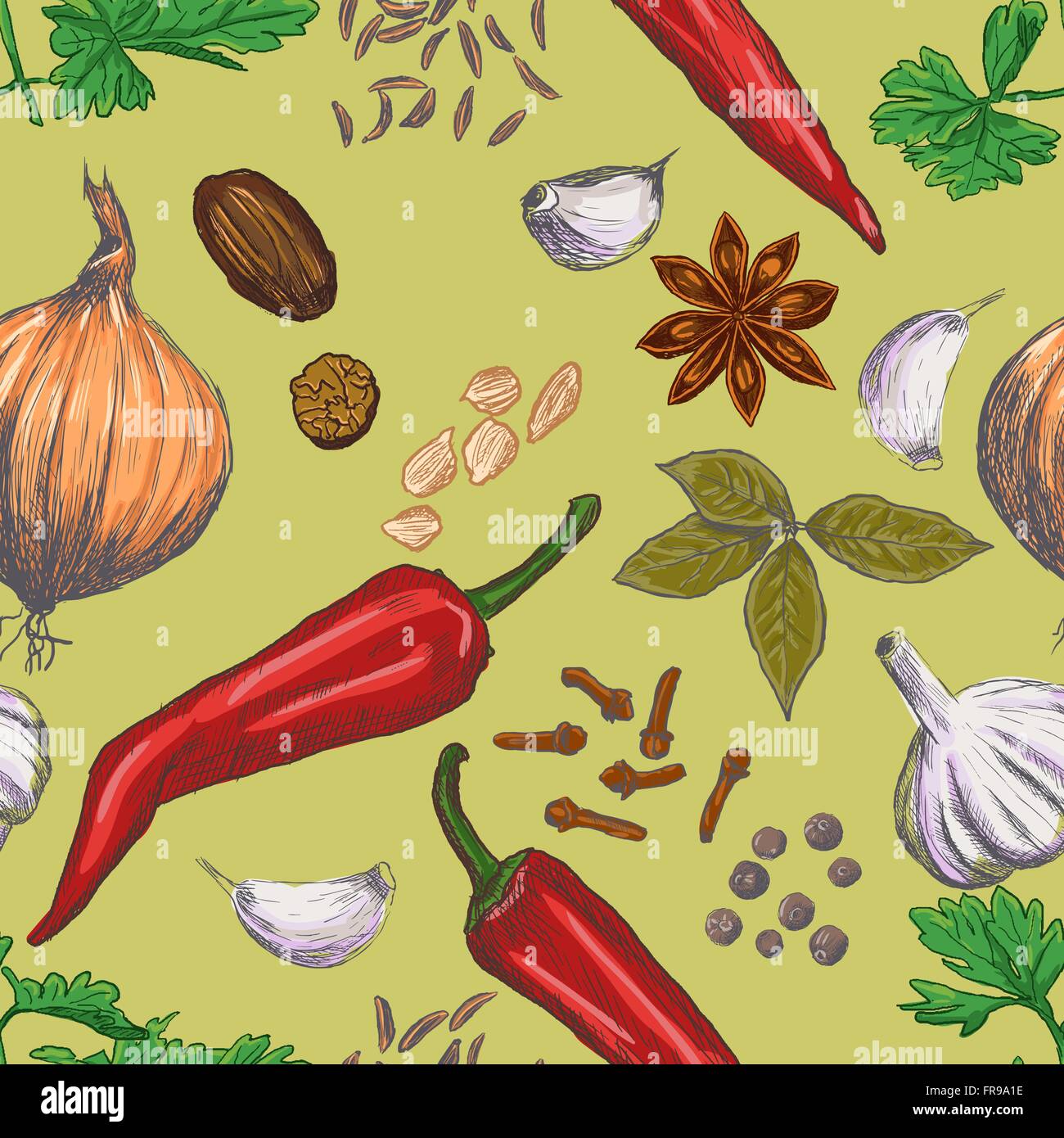 Hand drawn seamless set of organic spices Stock Vector Image & Art - Alamy