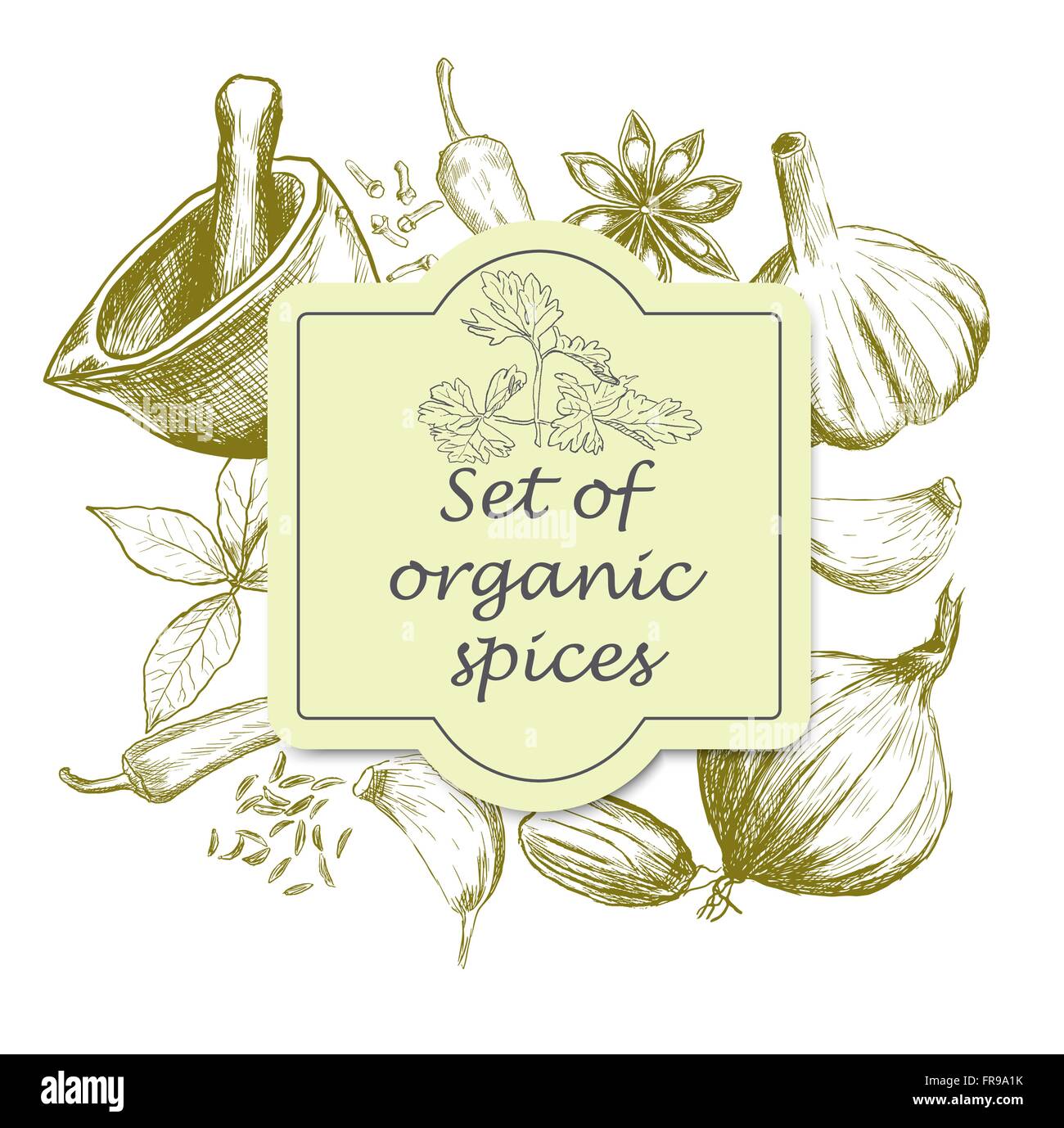 Hand drawn set of organic spices Stock Vector Image & Art - Alamy