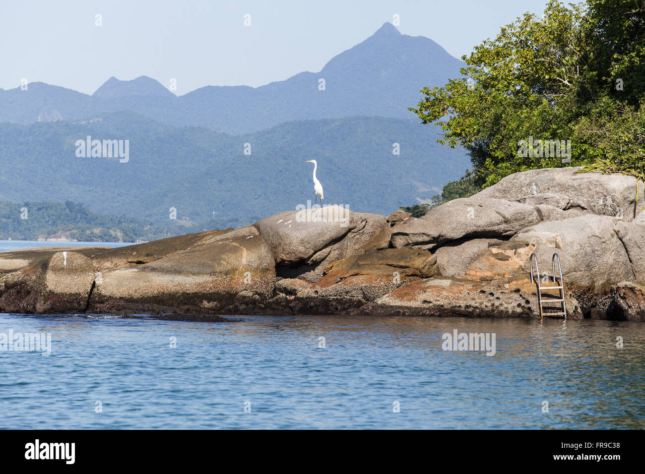 White heron on rocks on the island of Araujo Stock Photo
