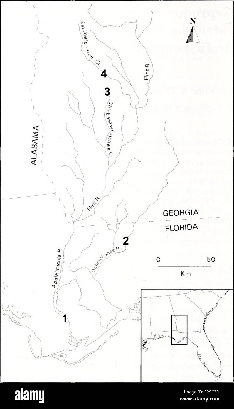 The 2001 edition of the American Malacological Bulletin, focusing on ...