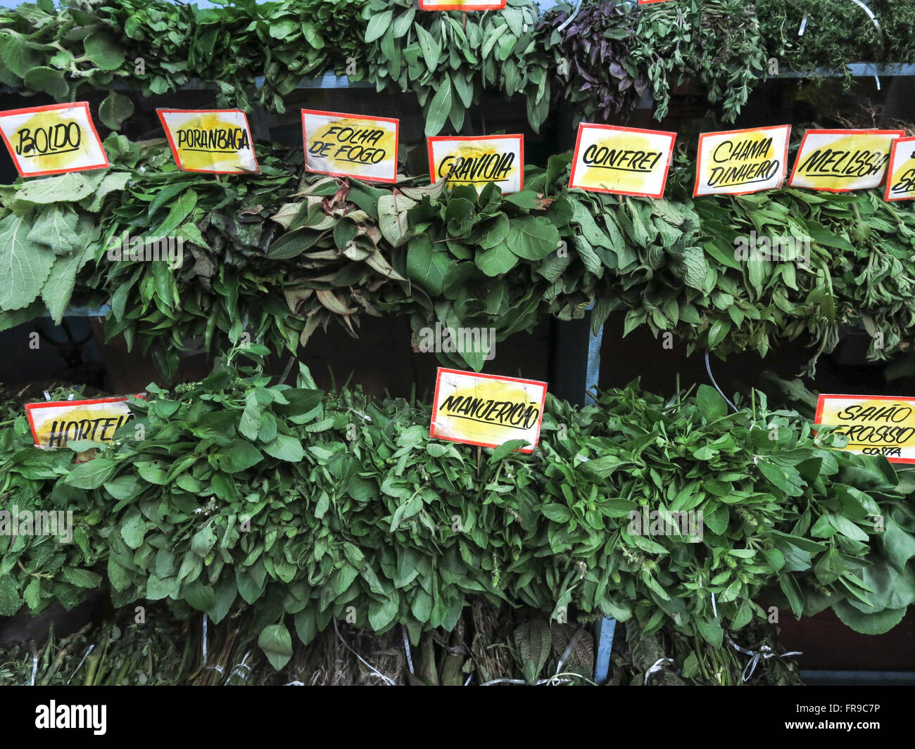 Medicinal herbs for sale in Market Lapa Stock Photo