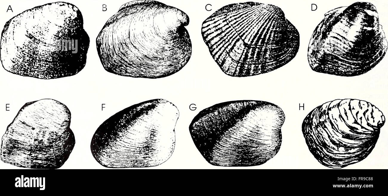 This bulletin focuses on malacology, the scientific study of mollusks ...