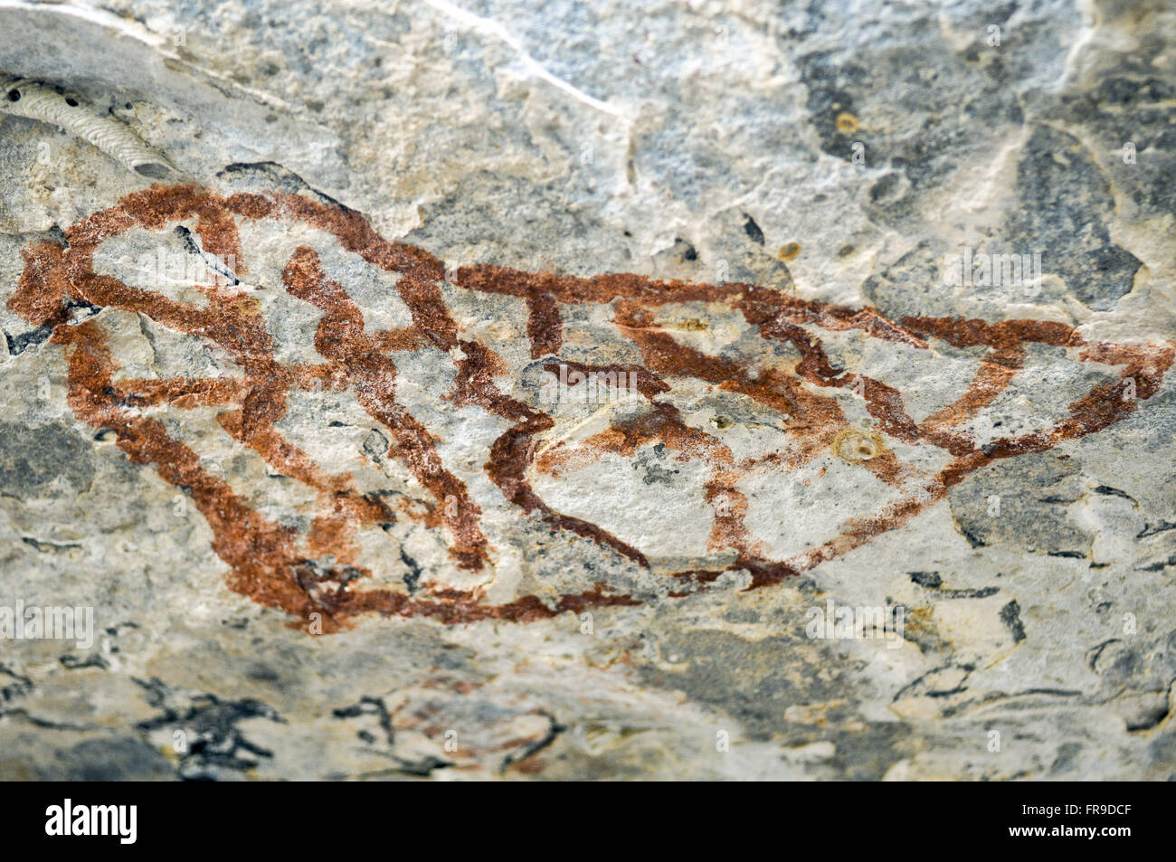 Detail of rock inscriptions in Alcobaca archaeological site - National ...